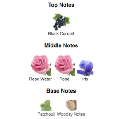 Парфумована вода для жінок Irresistible to … AVA LOVE 50 ml AL-20