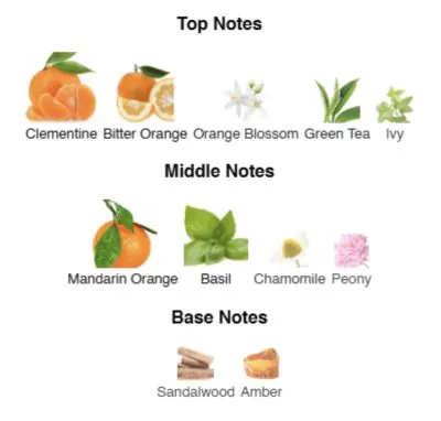 Парфумована вода для жінок Mandarin Wave ALEX HORSE Secret For Lady 50 ml AS-04