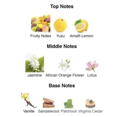 Парфумована вода для жінок Goddess ALEX HORSE Secret For Lady 50 ml AS-08