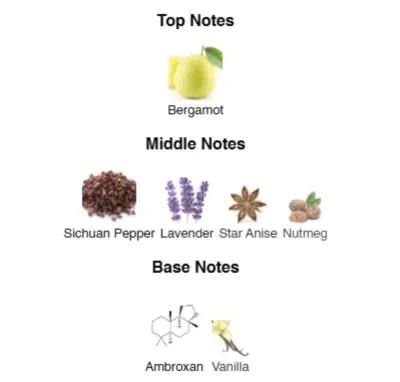 SAVAGE SPIRIT EAU DE PARFUM Men 100 ml CSB-100