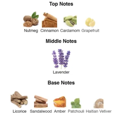 SAVAGE SPIRIT ELIXIR Men 100 ml CSB-100