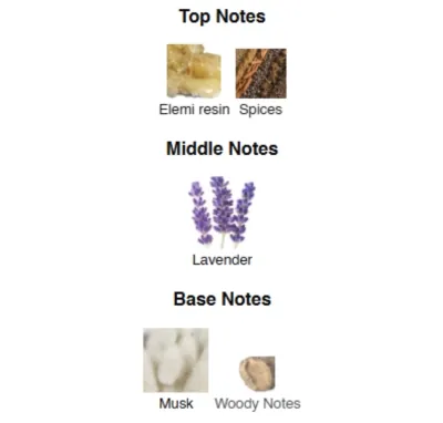 SAVAGE SPIRIT EAU FORTE Men 55 ml CS-55