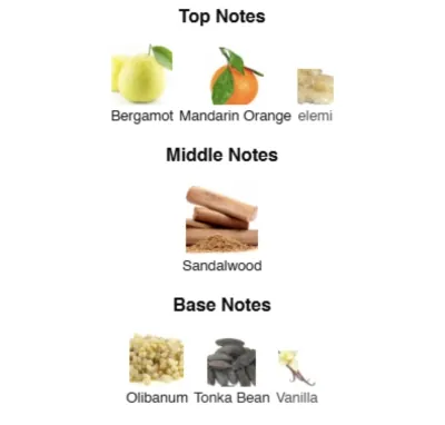 SAVAGE SPIRIT PARFUM Men 100 ml CSB-100